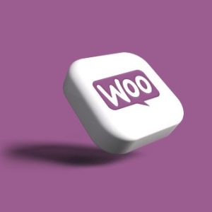 Service: We set up eCommerce on your WordPress Website